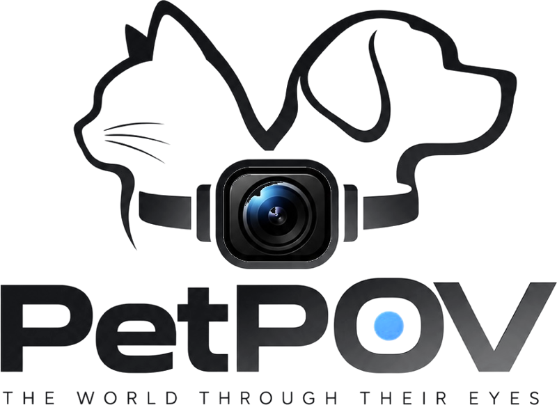 PetPOV — The world through their eyes